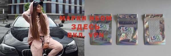 PSILOCYBIN Навашино