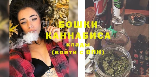 гидра Белоозёрский