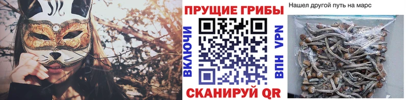 Галлюциногенные грибы GOLDEN TEACHER  Бокситогорск 